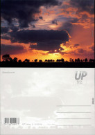 Ansichtskarte Abendhimmel Stimmungsbild Bäume Silhouette 2004 - Non Classés