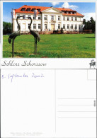 Ansichtskarte Schorssow Schloss 2000 - Other & Unclassified