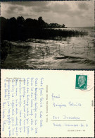 Ansichtskarte Waren (Müritz) Blick Auf Die Müritz 1964 - Waren (Mueritz)