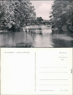 Ansichtskarte Mirow Liebesinselbrücke 1964 - Sonstige & Ohne Zuordnung