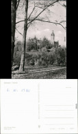 Ansichtskarte Schweriner Schloss Mit Bäumen 1978 - Schwerin