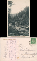 Ansichtskarte Zöblitz Katzenstein Im Tale Der Schwarzen Pockau. 1923 - Zöblitz