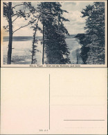 Ansichtskarte Binz (Rügen) Blick Von Der Waldhalle Nach Sellin 1924  - Sonstige & Ohne Zuordnung