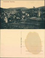 Ansichtskarte Tautenburg-Dornburg-Camburg Partie An Der Stadt 1910  - Autres & Non Classés