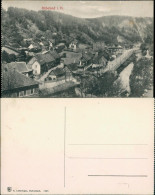 Ansichtskarte Rübeland Dorfpartie 1907  - Autres & Non Classés