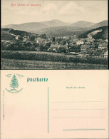 Ansichtskarte Bad Sachsa Stadt Mit Ravensberg 1908  - Bad Sachsa