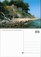 .Mecklenburg-Vorpommern Insel Usedom: Küste Klippe Stein Und Holz 2005 - Autres & Non Classés