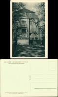 Ansichtskarte Hermsdorf-Ottendorf-Okrilla Aus Dem Park 1930 - Autres & Non Classés