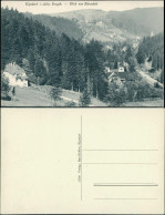 Ansichtskarte Kipsdorf-Altenberg (Erzgebirge) Blick Vom Bärenfels 1909 - Kipsdorf