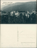 Bärenfels (Erzgebirge)-Altenberg (Erzgebirge) Blick Ins Tal Kipsdorf 1912 - Altenberg