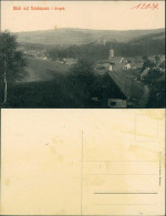 Ansichtskarte Neuhausen (Erzgebirge) Blick Auf Den Ort 1920 - Neuhausen (Erzgeb.)