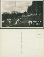 Ansichtskarte Bad Tölz Waldherralm - Kühe 1929 - Bad Tölz