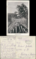 Postcard .Russland Rußland Россия Sörche Auf Dem Dach WK1 1917 - Rusland