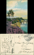 Ansichtskarte Waldenburg (Sachsen) Fluss - Blühende Heidelandschaft 1916 - Waldenburg (Sachsen)
