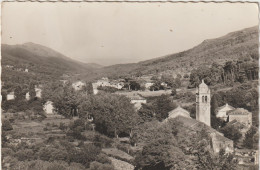 Cap Corse - Luri - (G.2802) - Altri & Non Classificati