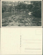 Postcard Misdroy Międzyzdroje Jordansee, Fischer 1927 - Pommern