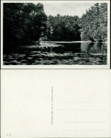 Postcard Misdroy Międzyzdroje Jordansee - Seerosen 1932 - Pommern