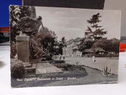 Cartolina Novi Ligure Prov Alessandria Monumento Ai Caduti, Giardini 1954 - Alessandria