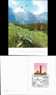 Ansichtskarte  Botanik :: Blumen Schlangenknöterich Hohe Tatra Tatry 1978 - Sonstige & Ohne Zuordnung