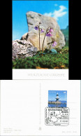 Ansichtskarte  Botanik :: Blumen - Alpenglöckchen Hohe Tatra 1978 - Autres & Non Classés