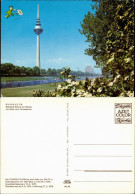Ansichtskarte Mannheim Fernsehturm Am Neckar 1972 - Mannheim