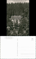 Ansichtskarte Neuhaus Im Solling-Holzminden Chalet Haus Mairose, Solling 1960 - Holzminden