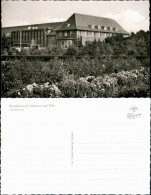 Ansichtskarte Utersum-Föhr-Amrum Partie Am Sanatorium 1955 - Other & Unclassified