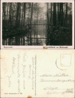 Ansichtskarte Lübbenau (Spreewald) Lubnjow Spreewladbank Im Hochwald 1930 - Lübbenau