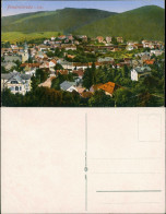Ansichtskarte Friedrichroda Panorama-Ansicht Gesamtansicht Totale 1910 - Friedrichroda