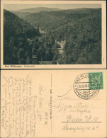 Bad Wildungen Panorama-Ansicht Helental 1926     Stempel BAD WILDUNGEN - Bad Wildungen