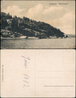 Postcard Lyckorna Fiskartorpet 1913 - Sweden