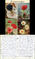 Le Langage Des Fleurs/Blumen-Pflanzen-Sprache, Blumen Mit Deren Bedeutung 1970 - Andere & Zonder Classificatie