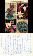 Le Langage Des Fleurs/Blumen U. Deren Bedeutung In Der Blumen-Sprache 1973 - Andere & Zonder Classificatie