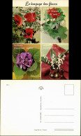 Le Langage Des Fleurs/Blumen Sprache, 4 Ansichten Und Deren Bedeutung 1975 - Autres & Non Classés