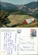 Postcard Groß Aupa-Petzer Velká Úpa Pec Pod Sněžkou Stadtpartie 1963 - Tchéquie