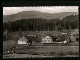 AK Bodenmais / Bayer.Wald, Panorama Mit Blick Auf Gasthof-Pension Böhmhof  - Bodenmais