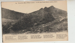 Massif Du Mont Pilat  42   Carte Circulée_Le Pic Des Trois Dents  1280m - Mont Pilat