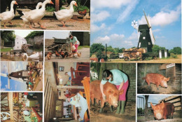 Sarre Windmill Kent 4x Farming Tea Rooms Restaurant Postcard S - Autres & Non Classés