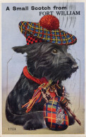 Fort William Scotty Dog Mailing Novelty Scottish Old Postcard - Autres & Non Classés