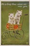 Dogs Advertising Fresh Farm Dairy Milk Cart Transportation Old Postcard - Autres & Non Classés