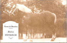 SELECTION -  LIEUREY  -  Ferme De Beaulieu  - Etalon VENGEUR - Other & Unclassified