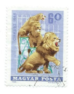 Hungary, Hongrie, Ungheria 1965; Lions, Leoni Al Circo, Cirque, Circus: Lion. Used. - Big Cats (cats Of Prey)