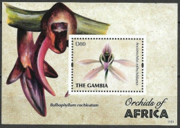 Gambia - 2011 - Flowers: Orchids - Yv Bf 766 - Orchideen