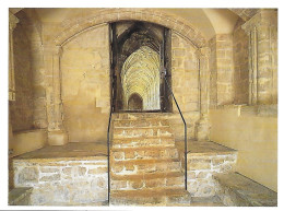  GLOUCESTER CATHEDRAL, GLOUCESTERSHIRE, ENGLAND. UNUSED POSTCARD  Nd5 - Eglises Et Couvents