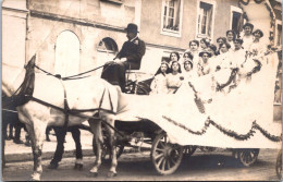 SELECTION -  GAILLON  -  Carter Photo  -  Cavalcade - Sonstige & Ohne Zuordnung