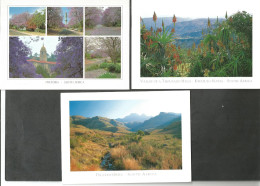 3 Postcards - KWAZULU NATAL - DRAKENSBERG - PRETORIA  - SOUTH AFRICA - RSA - - South Africa