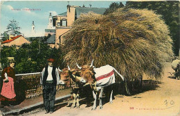 64 - Pyrénées Atlantiques - Types Pyrénéens - Paysans - Attelage De Boeufs - Colorisée - Folklore - Etat Léger Pli Visib - Autres & Non Classés