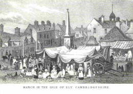 Art - Peinture - March In The Isle Of Ely Cambridgeshire C 1800 - Cambridgeshire Libraries Publications - CPM - Voir Sca - Peintures & Tableaux