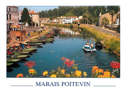 79 - Coulon - Promenade Sur Le Marais - Marais Poitevin - Venise Verte - Fleurs - CPM - Voir Scans Recto-Verso - Autres & Non Classés