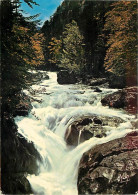 65 - Cauterets - La Cascade Du Pas De L'Ours - CPM - Voir Scans Recto-Verso - Cauterets